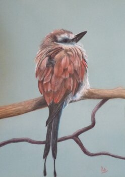 Cappuccino à Rome Patricia de Chadois