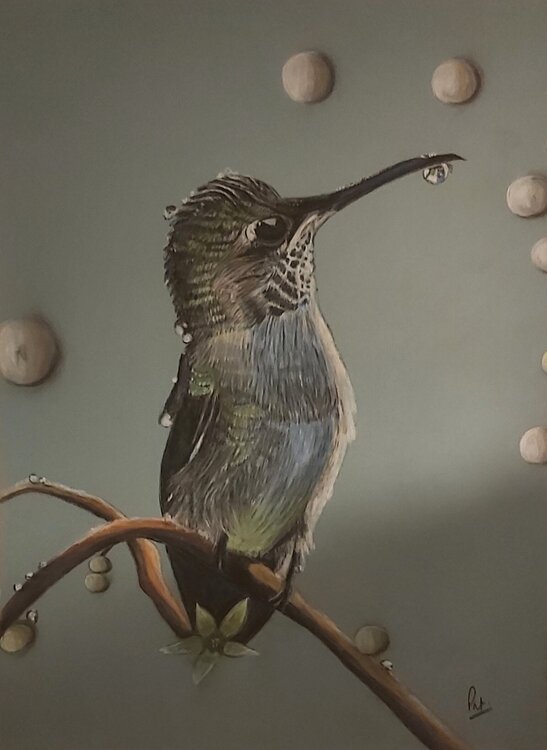 Café Latte à Venise Patricia de Chadois