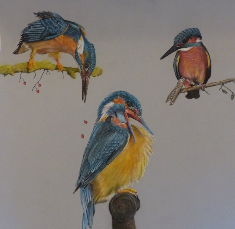 Ensemble Patricia de Chadois