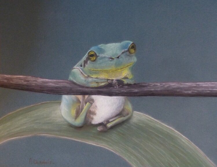 Violette Patricia de Chadois