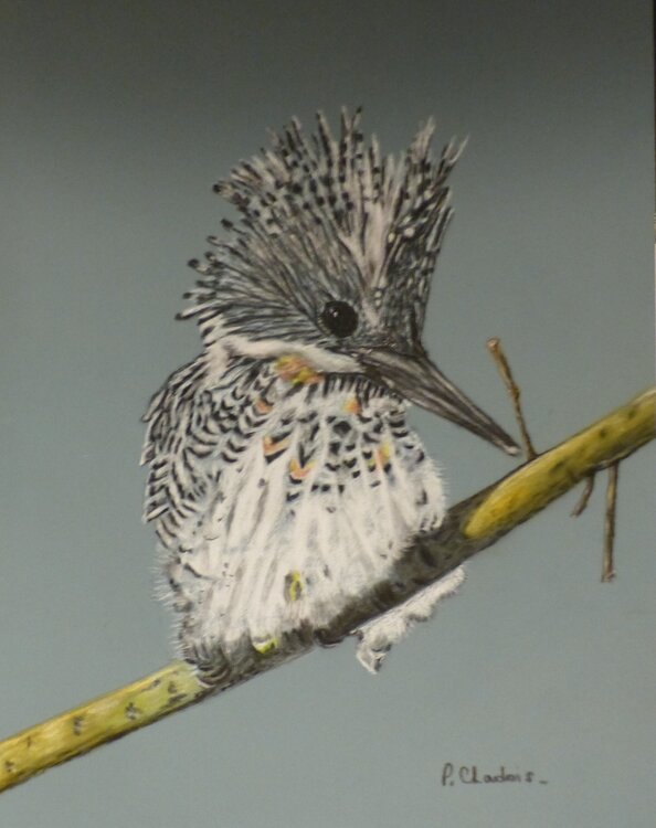 Aurélien Patricia de Chadois