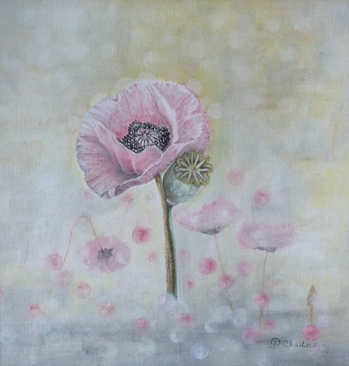 L'Ephémère Patricia de Chadois