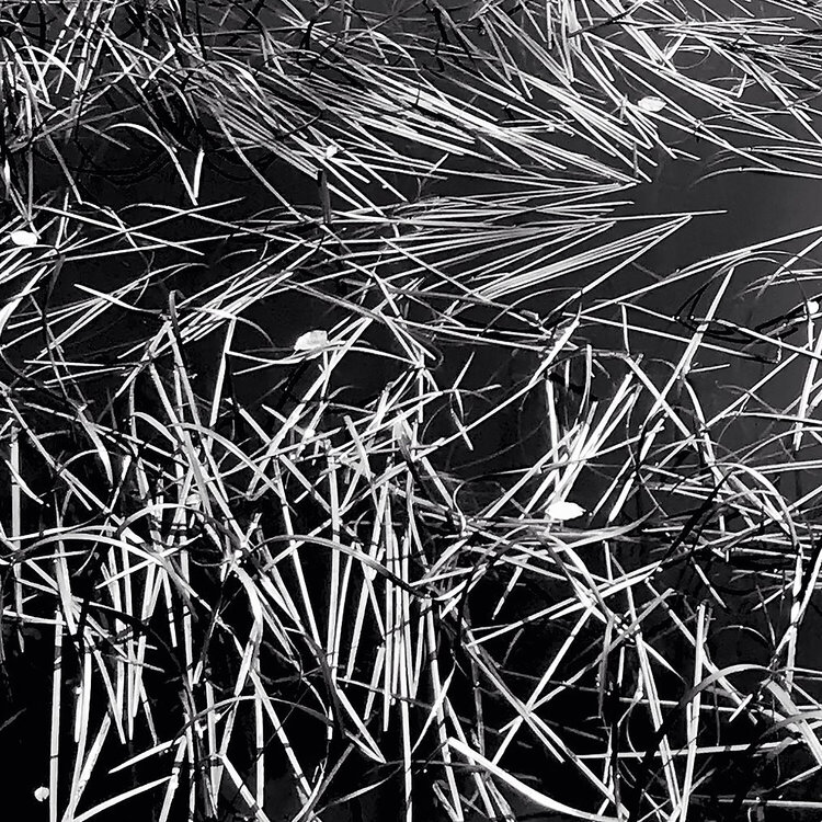 Herbe #3 Ivan Križan