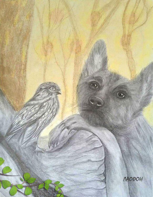 Friendship Tatiana Feoktistova