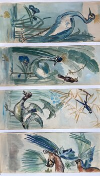 Couleurs d’oiseaux Gwenaël de Villeneuve