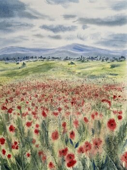 CAMPOS DE AMAPOLAS Montse Gil