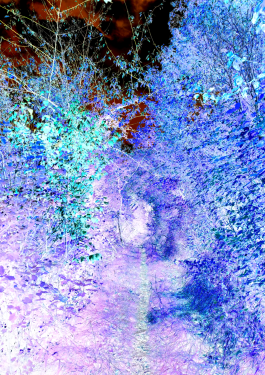 Chemin négatif aux couleurs positives. Jacques-Yves Chaïb