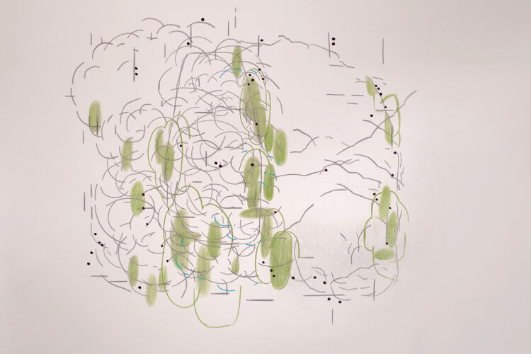 entropie yves minssart