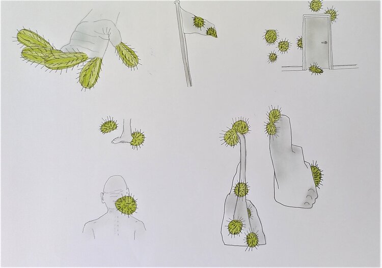 Aïe les cacti ! yves minssart