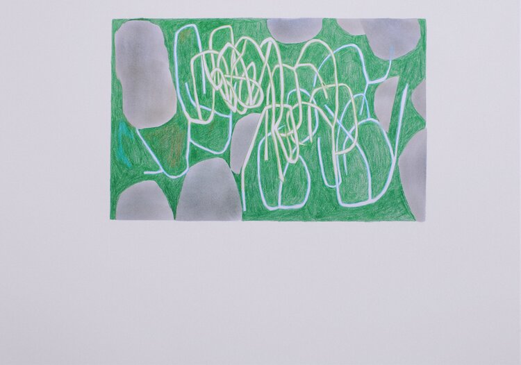 Entropie verte yves minssart