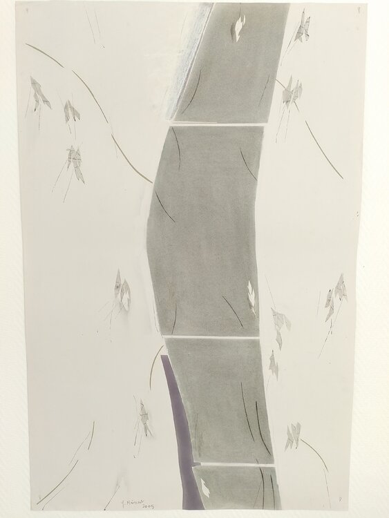 continuum yves minssart