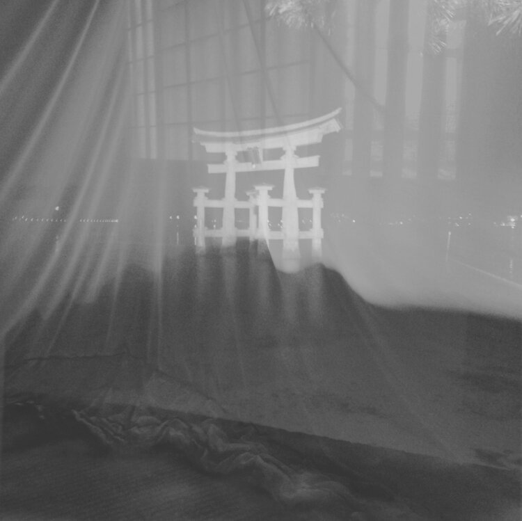 Le Torii et le voile Laetitia Guillet