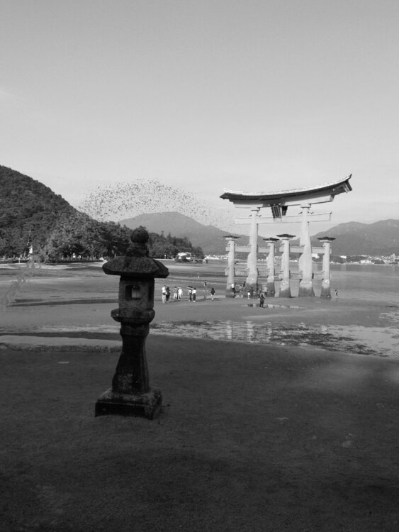 Le Torii, la lanterne et le jet d'eau Laetitia Guillet