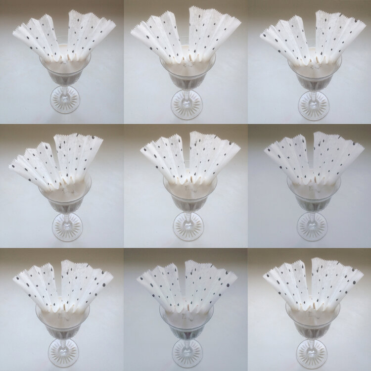 Les damiers du Lait Laetitia Guillet