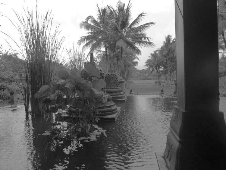 Carnet d'Inonésie, Java, Bali, Gili Laetitia Guillet