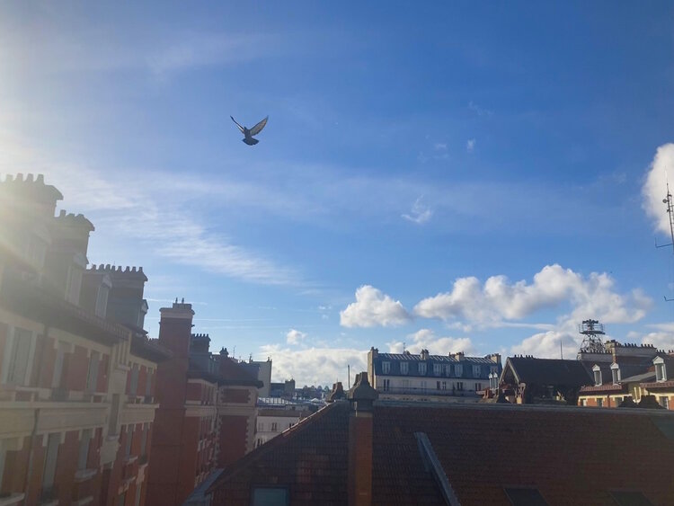 Ciel de Paris Laetitia Guillet