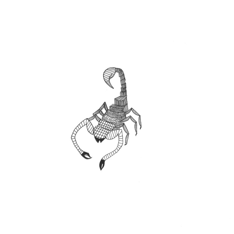 Scorpion Laetitia Guillet