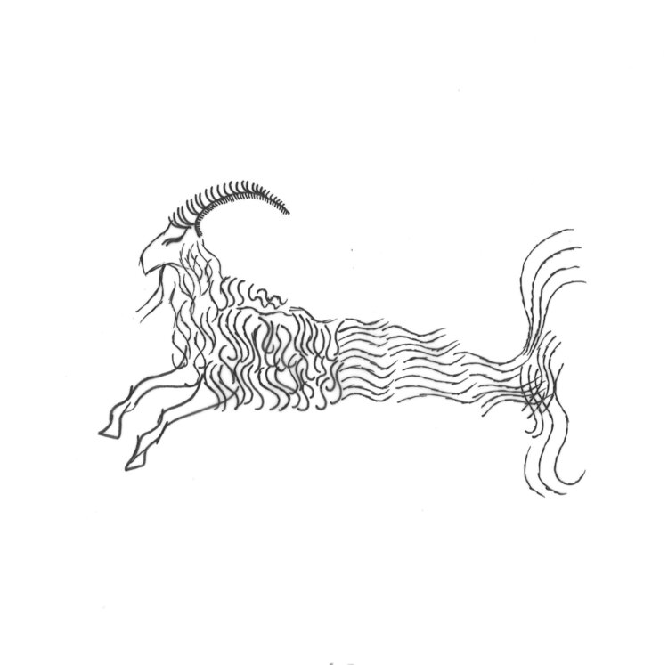 Capricorne Laetitia Guillet