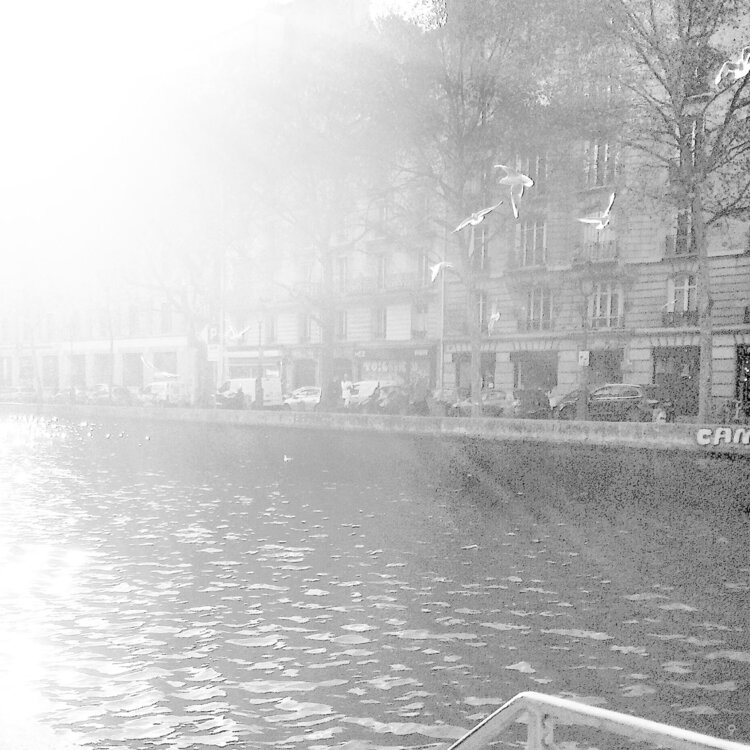 Paris / New-York Laetitia Guillet