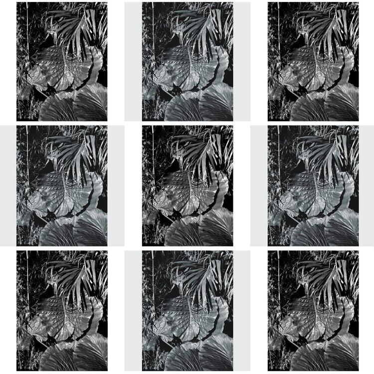 Forêt / Paysage Laetitia Guillet