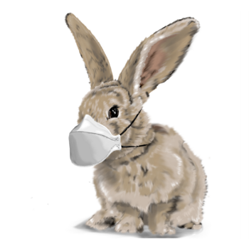 Easter Marc Sund