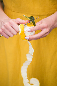 Limoni di Sicilia LIDIA MARIA MALLIA