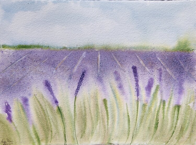 Valensole Angélique Ksiazek