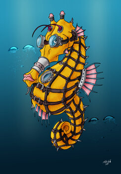Seepferdchen unter Wasser Markus Seider