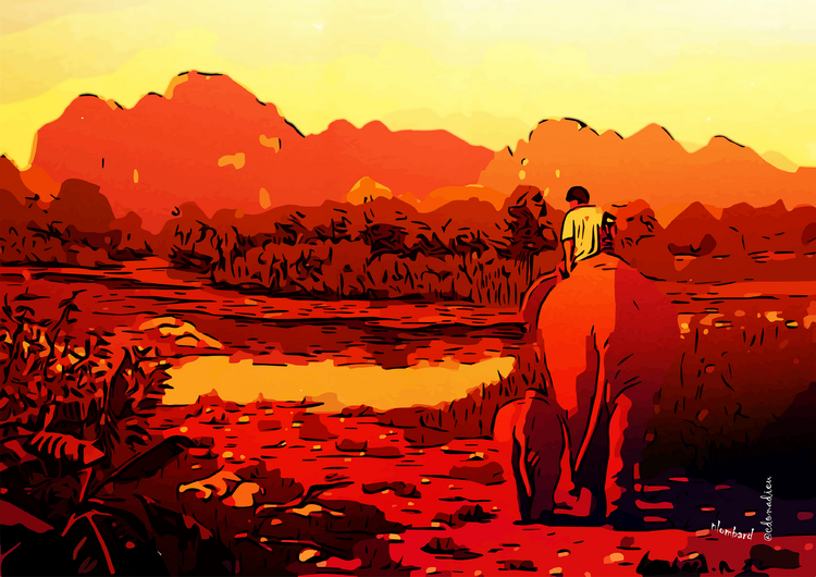 ELEPHANTATION Catherine DONADIEU