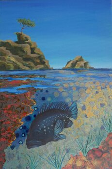 le merou mediterannéen Tiphaine de Tarlé