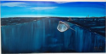 Requin pèlerin dans la presqu'île de Penmarc'h Marie Evanno