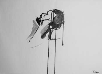 ISSA 4 francine peraldi