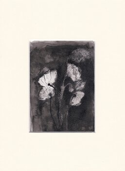 Fleurs 13 francine peraldi