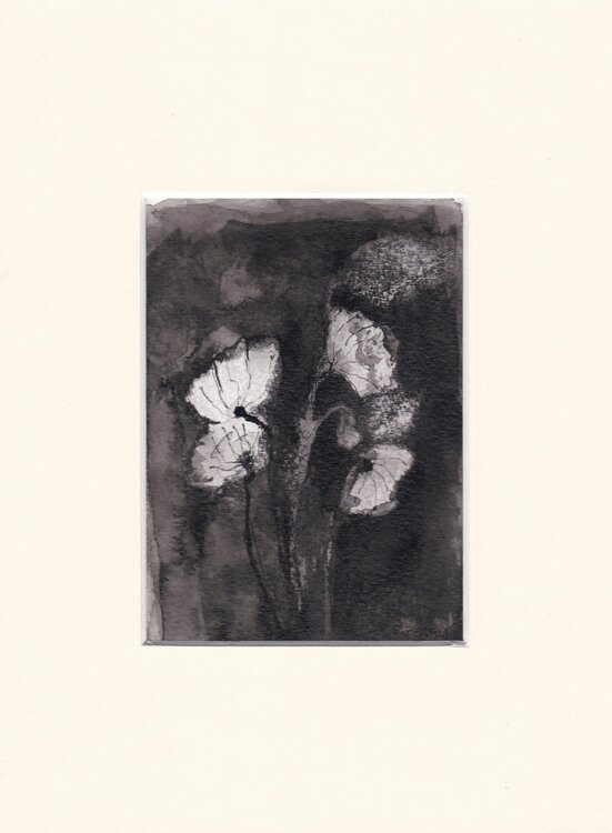 Fleurs 13 francine peraldi