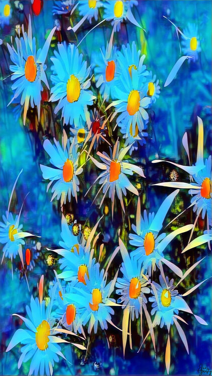 LES MARGUERITES BLEUES Léo Grafty