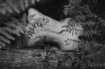 écorce yoland rafougilet