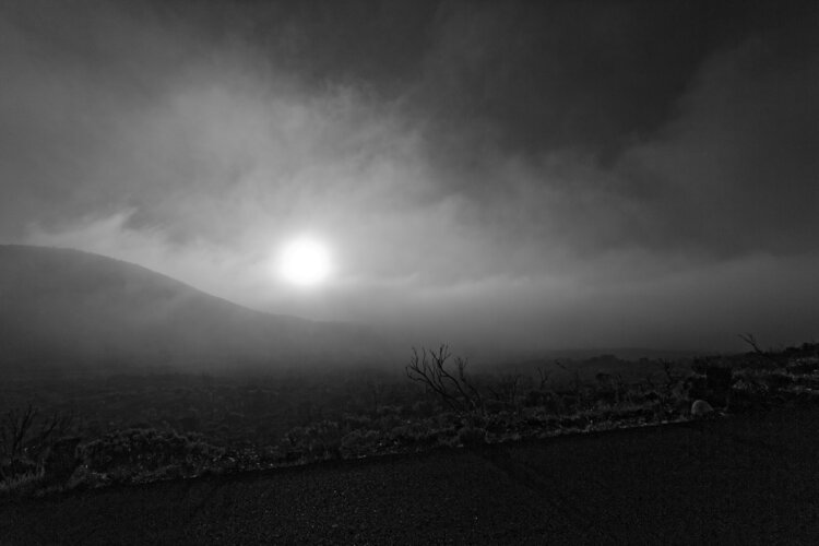 au loin , les ombres yoland rafougilet