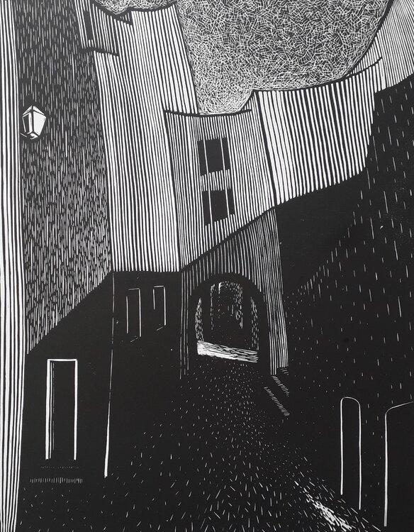 Rue de Nuit vue par les chats Izabella Belcarz