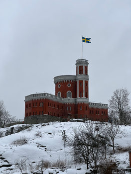 le chato Louis Dupont