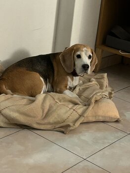 Cloe test Bea Scorza