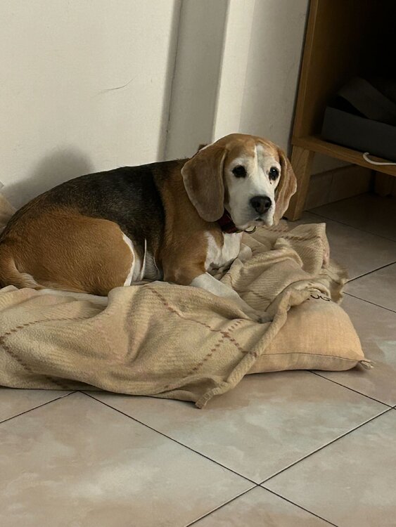 Cloe test Bea Scorza