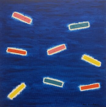 “Mondi sospesi” Luca Gambescia