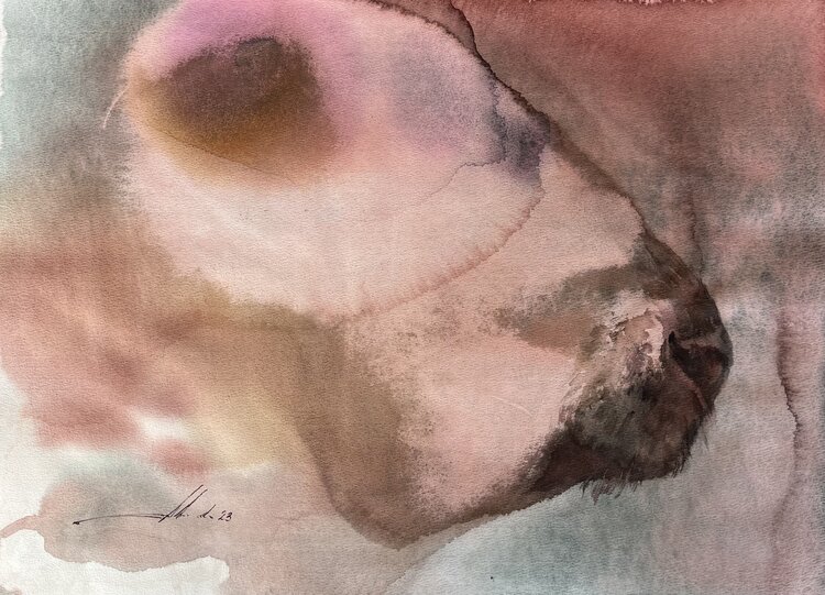 Buffo buffalo Natalia Averianova