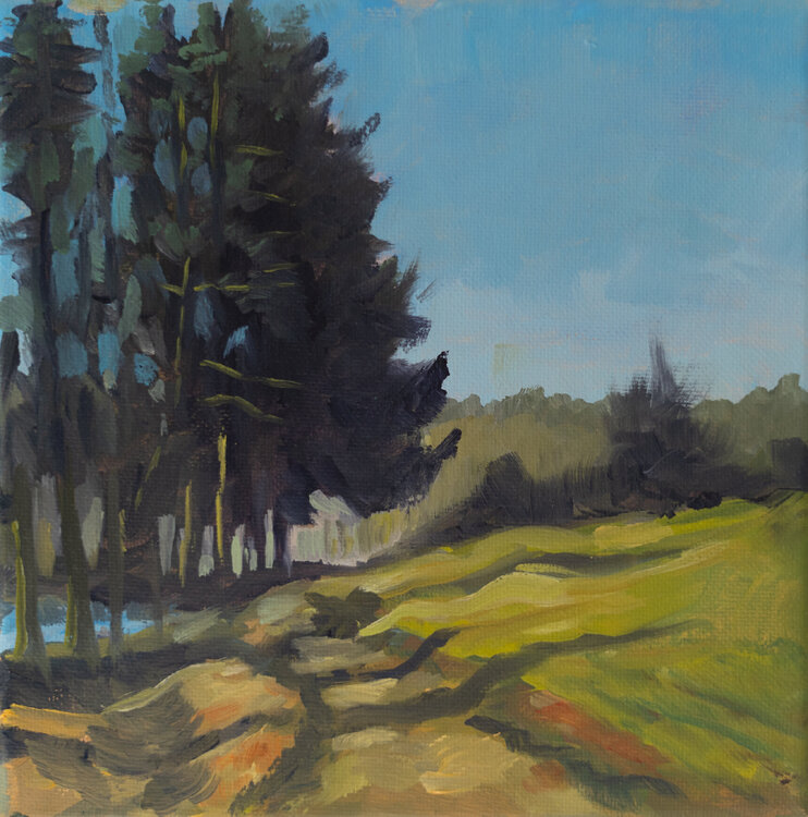 Taunusstein im Sommer Axel Jung