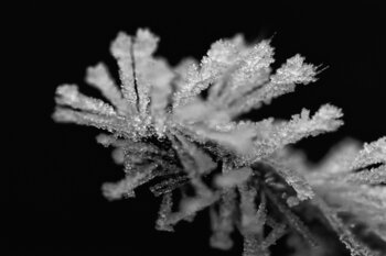 Le joyau Marianne Mouchet