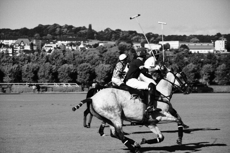 Les joueurs de polo Marianne Mouchet
