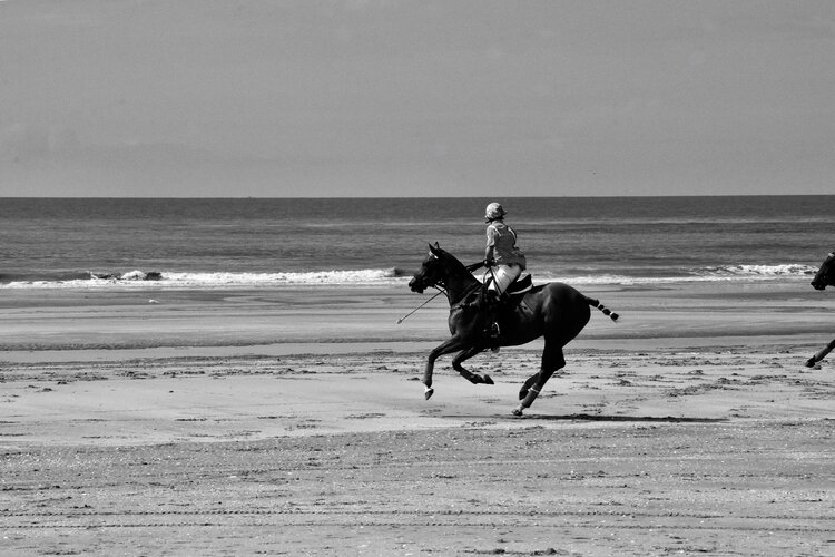 Les joueurs de polo Marianne Mouchet