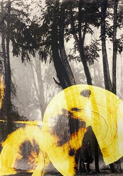 Le vestige des arbres. Esteban Miralles