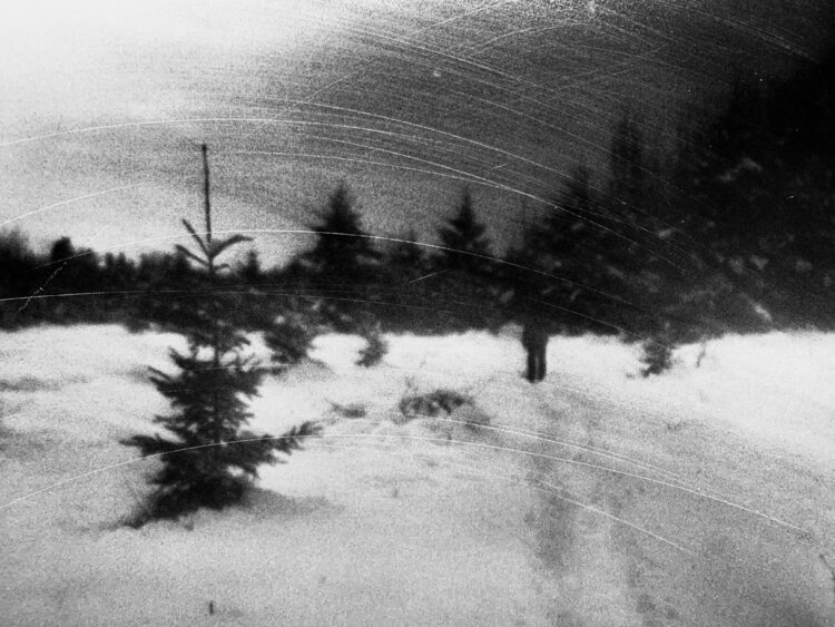 The traveler from nowhere Esteban Miralles