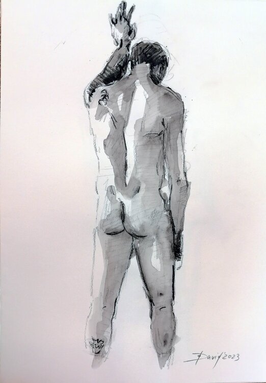 Männlicher Akt Rückenakt Zeichnung Studie auf Papier. Männerakt Original Aktporträt Olga David